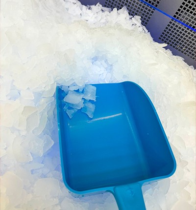 Fabricadoras de Hielo