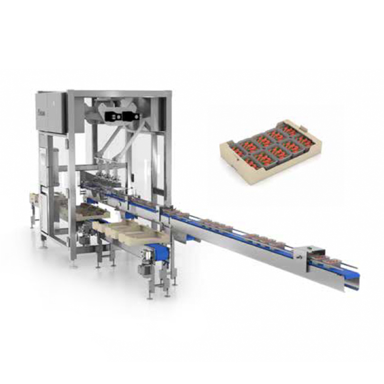 Encajadora Industrial CP 200