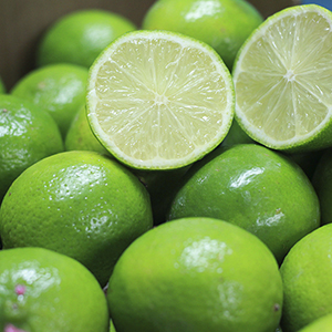 https://qa-mktmaq.cl/wp-content/uploads/2024/04/limones.jpg