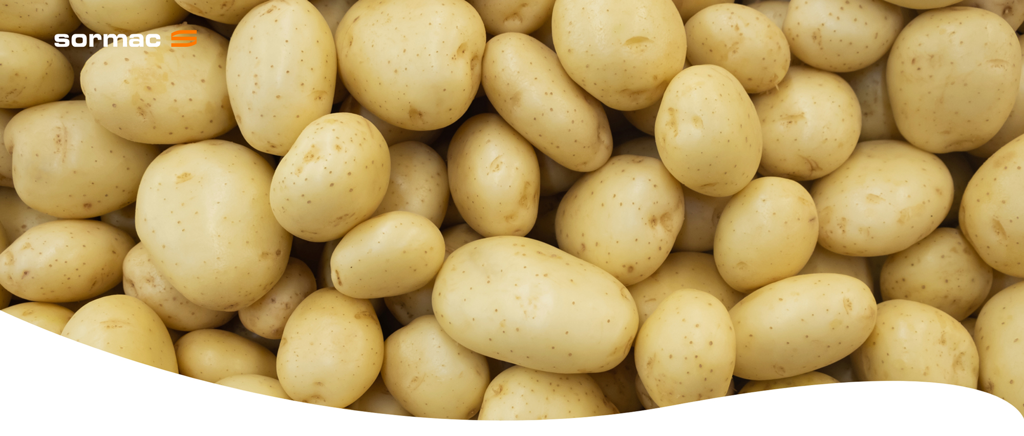 Peladora de rodillos